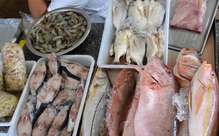 Vigilância Sanitária Estadual orienta sobre o que observar na compra do pescado