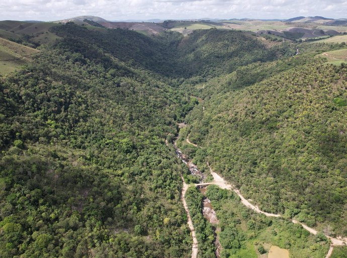 No Dia das Florestas, conheça o trabalho do IMA na proteção da vegetação nativa