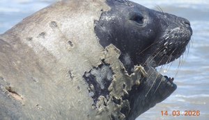 WhatsApp-Image-2026-03-18-at-10.01.45