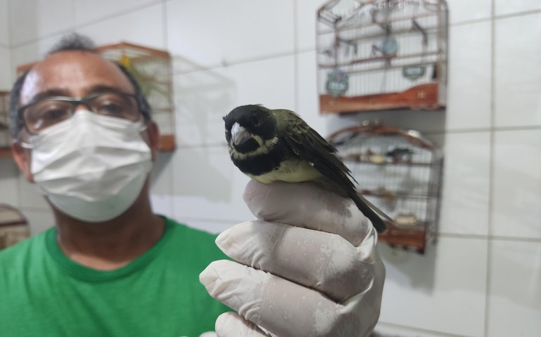  Dia de Defesa da Fauna destaca ações promovidas pelo Centro de Triagem de Animais nesta sexta 