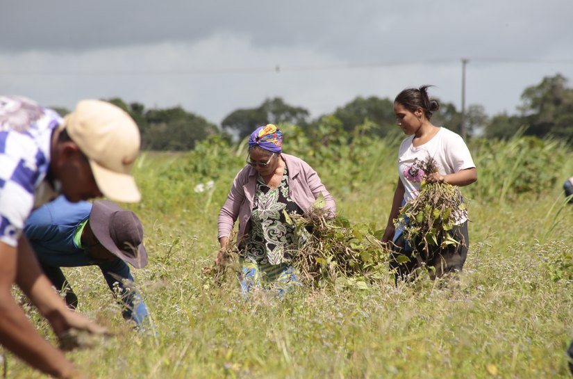Projeto Maná fortalece a agricultura familiar em Coruripe