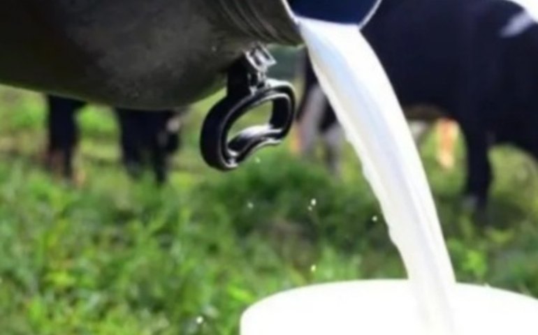 Cartão SIM fortalece produtores rurais de Arapiraca