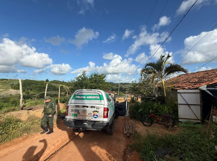 PM apreende nove armas de fogo durante operações integradas do BPA em Alagoas