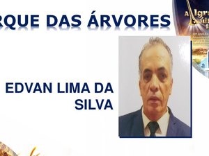 Foto: Everton