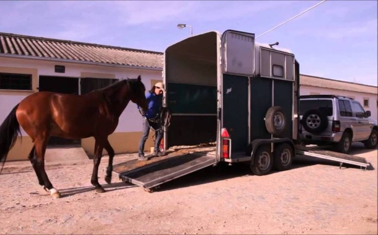 Aprovado projeto que institui o Passaporte Equestre para o transporte de animais em Alagoas