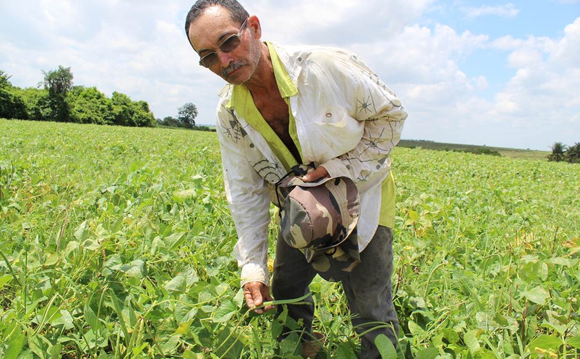 Projeto da Codevasf em Alagoas promove acesso de agricultores familiares a tecnologias de irrigação