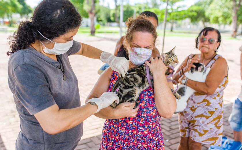 Unidade de Zoonoses promove vacinação antirrábica e feira de adoção no sábado (21)