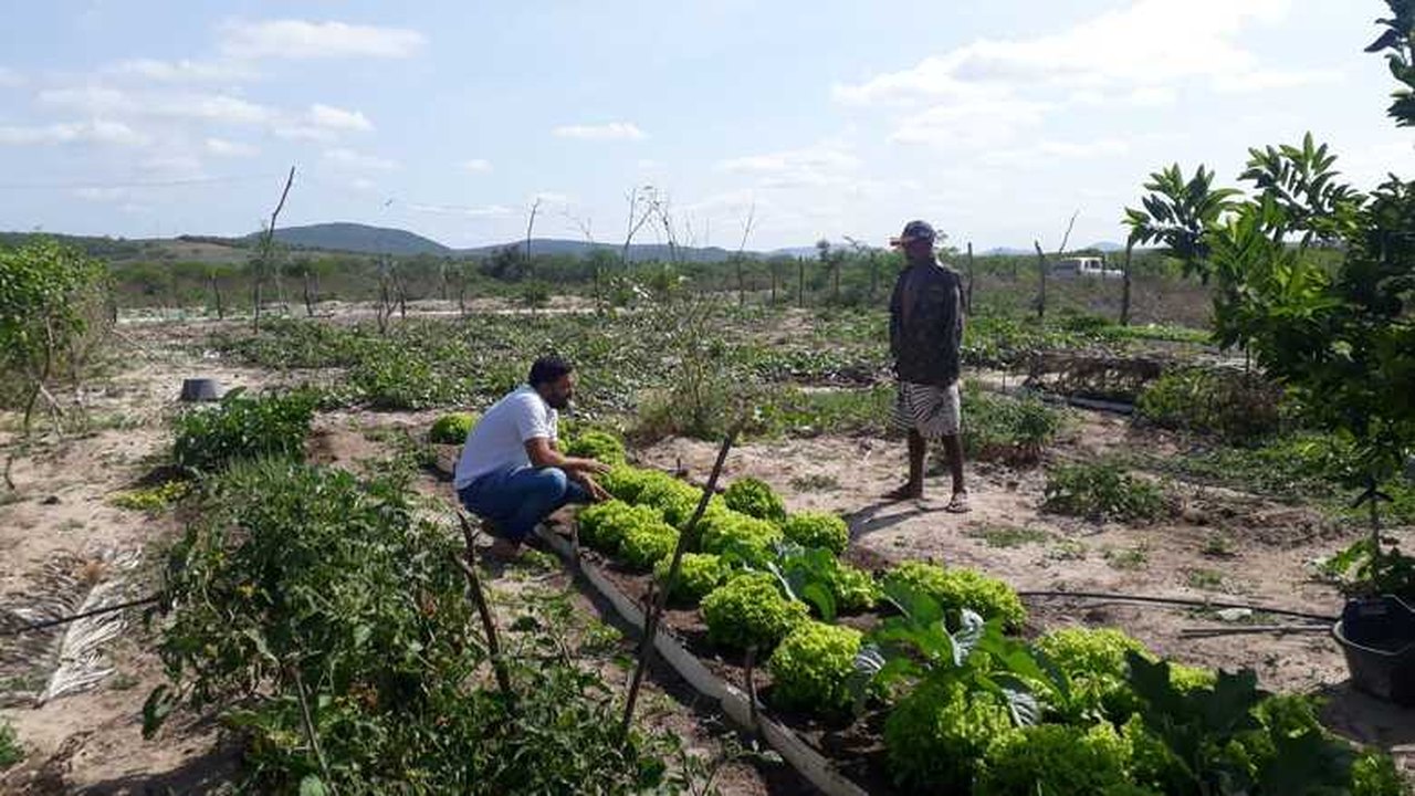 Emater realizou mais de 175 mil atendimentos aos agricultores familiares em 2021