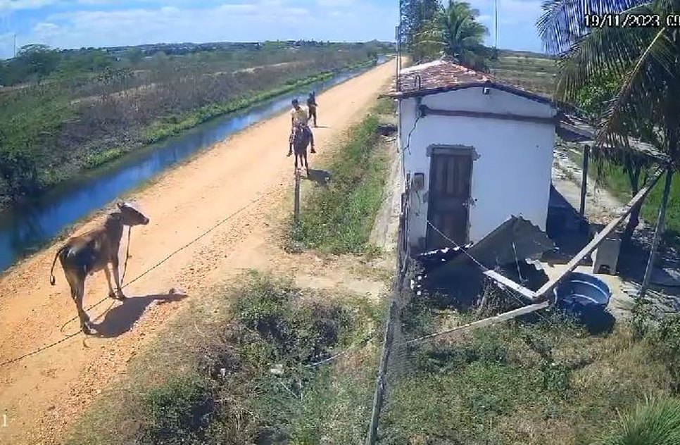 Três homens são presos por furto de gado e venda de carne imprópria para consumo em Sergipe