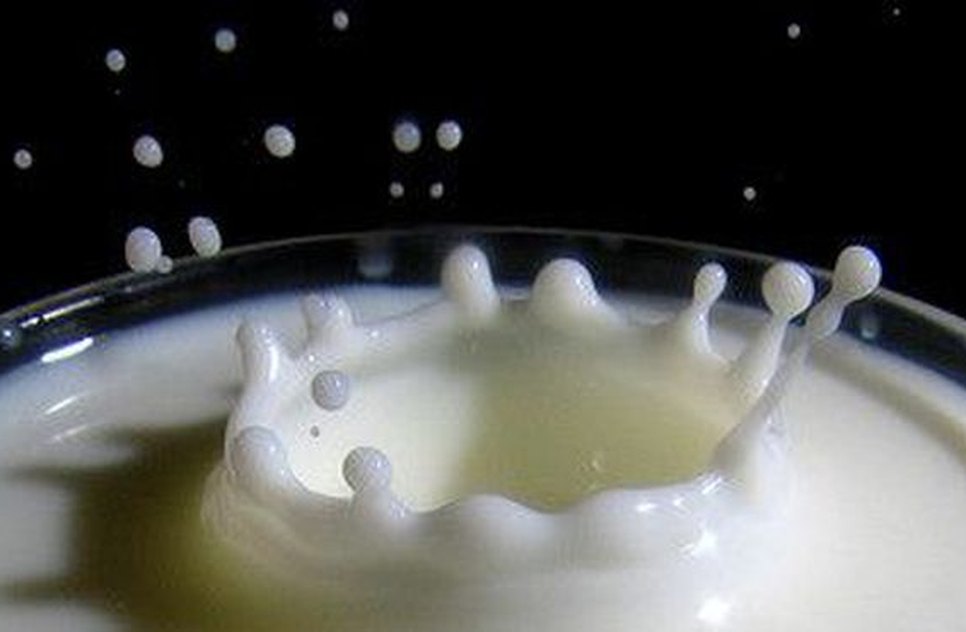 lactose