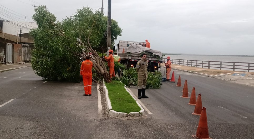 Chuva provoca queda de árvore na Zona Norte de Aracaju / Foto: Foto: SMTT/Aracaju