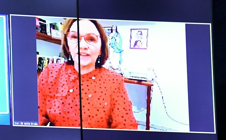 Ataque à democracia foi influenciado por Bolsonaro, diz Zenaide