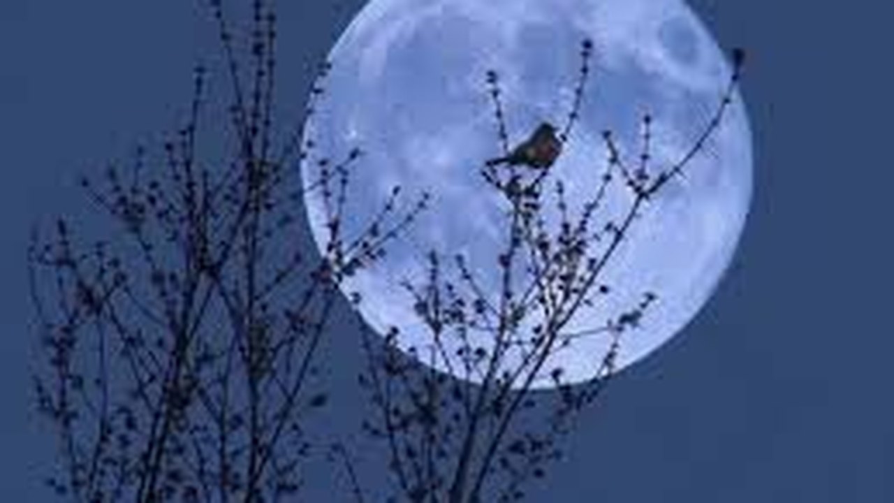 Lua azul ocorre hoje, dia 31
