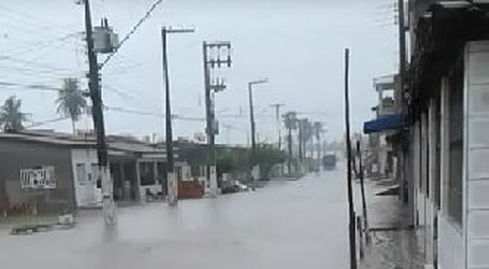 são cris / Foto: Foto: Divulgação