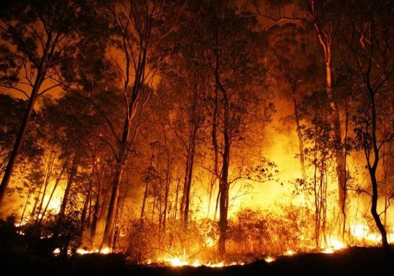 Incêndio na Grécia já é considerado o maior da União Europeia