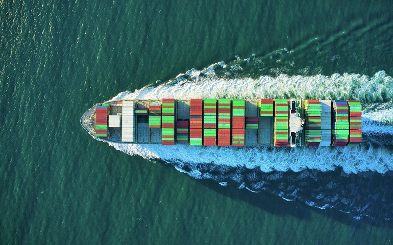 Bolívia assinará acordo com a China para exportar 9 mil toneladas de chia por ano