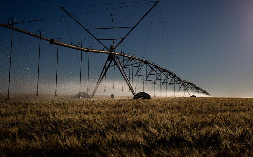 Projeto que permite irrigação em área de proteção recebe críticas