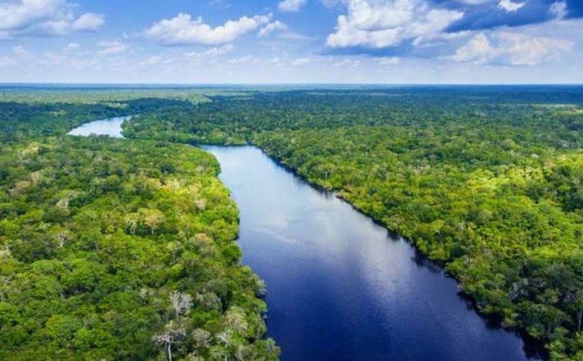 Governo firma acordo com banco alemão para projetos de conservação na Amazônia