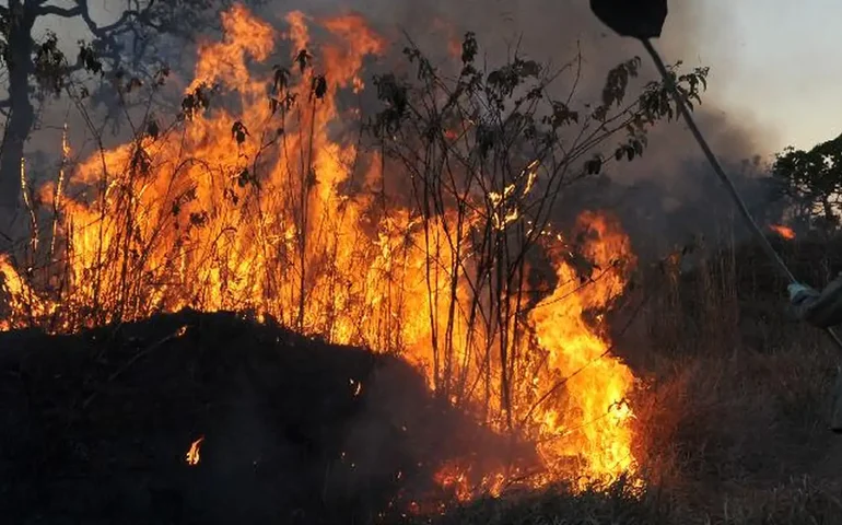 Patagônia em chamas: incêndios florestais encobrem o sol com fumaça densa