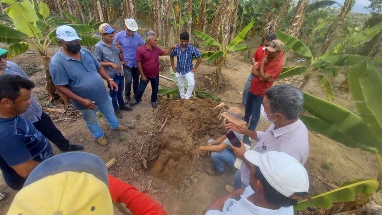 Secretaria de Agricultura de Branquinha trabalha no fortalecimento do cultivo e produção da banana