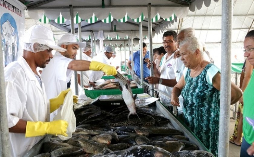 Consumidores lotam Parque da Pecuária na Feira do Peixe Vivo promovida pela Seagri