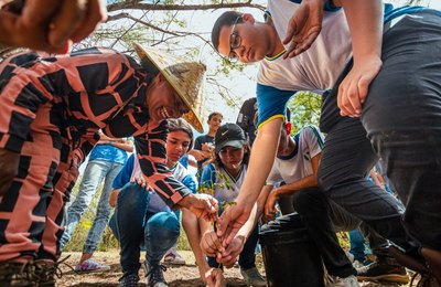 Arapiraca fortalece compromisso ambiental com mais de 57 mil árvores plantadas