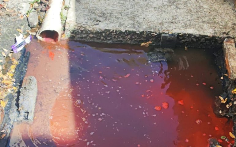 PC prende sindico por crime ambiental em Maceió