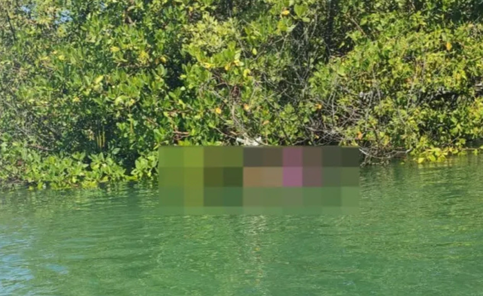 Corpo de mulher é encontrado boiando em área de mangue em Marechal Deodoro