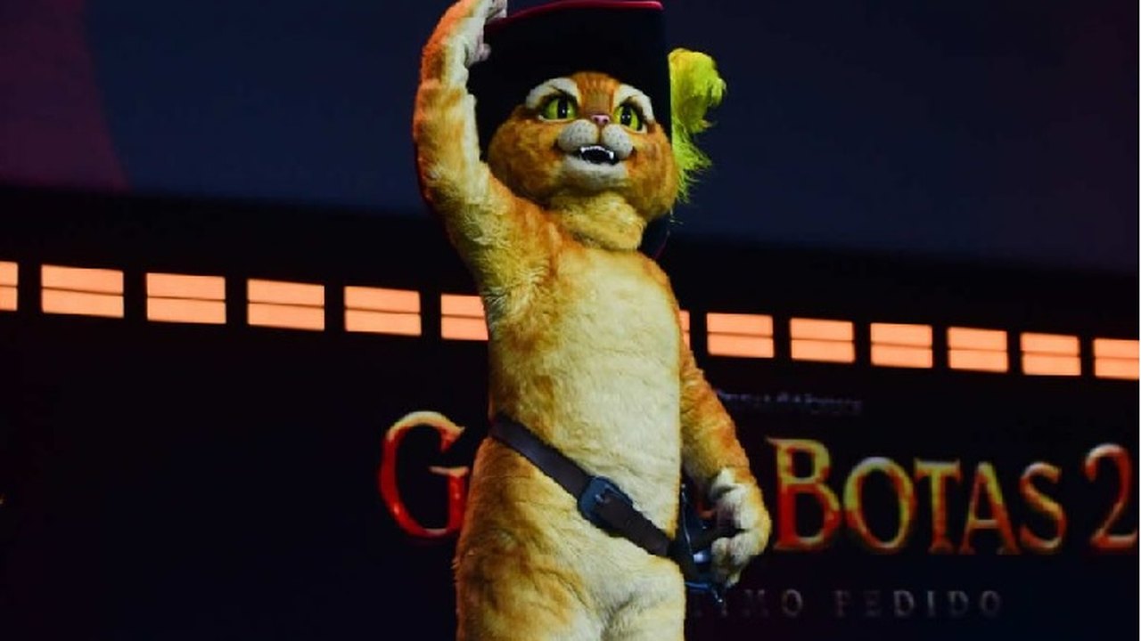 Canções, humor e famosos na volta do Gato de Botas