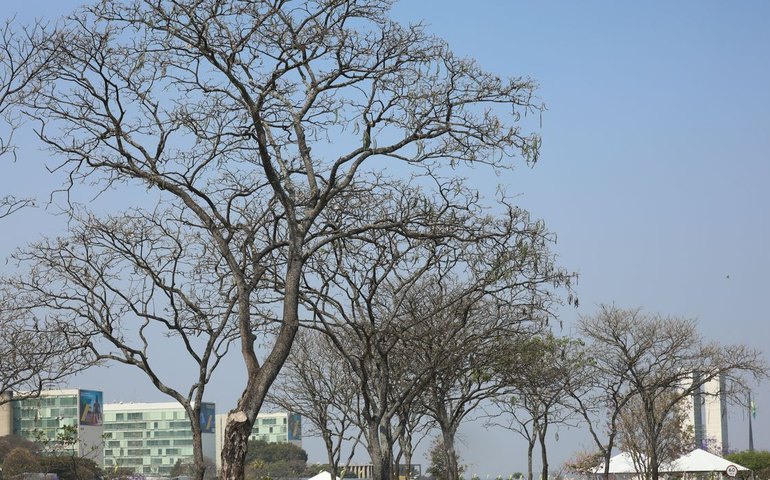 Brasília atinge recorde histórico de seca nesta sexta-feira