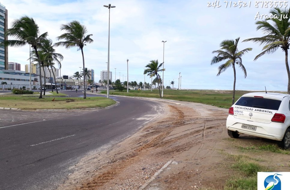 adema vistoria local onde cobra foi vista 