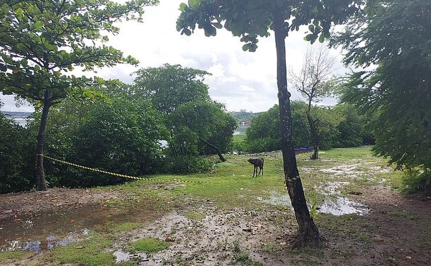 Corpo de homem é encontrado boiando na laguna Mundaú