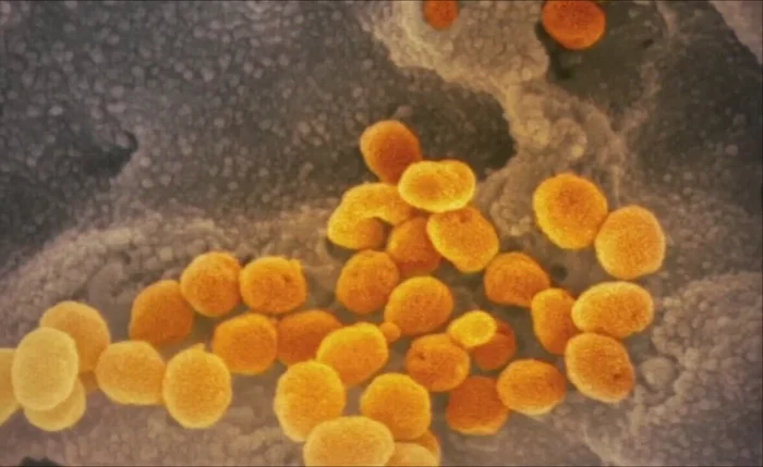 Nova variante da Covid 19, BA.3.2