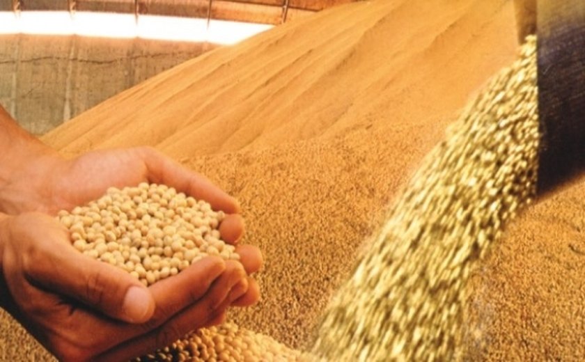 Publicada a MP que zera PIS/Cofins na importação de milho até o fim do ano