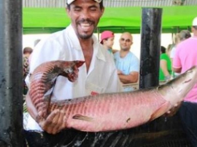 3ª edição da Feira do Peixe Vivo de Maceió é adiada