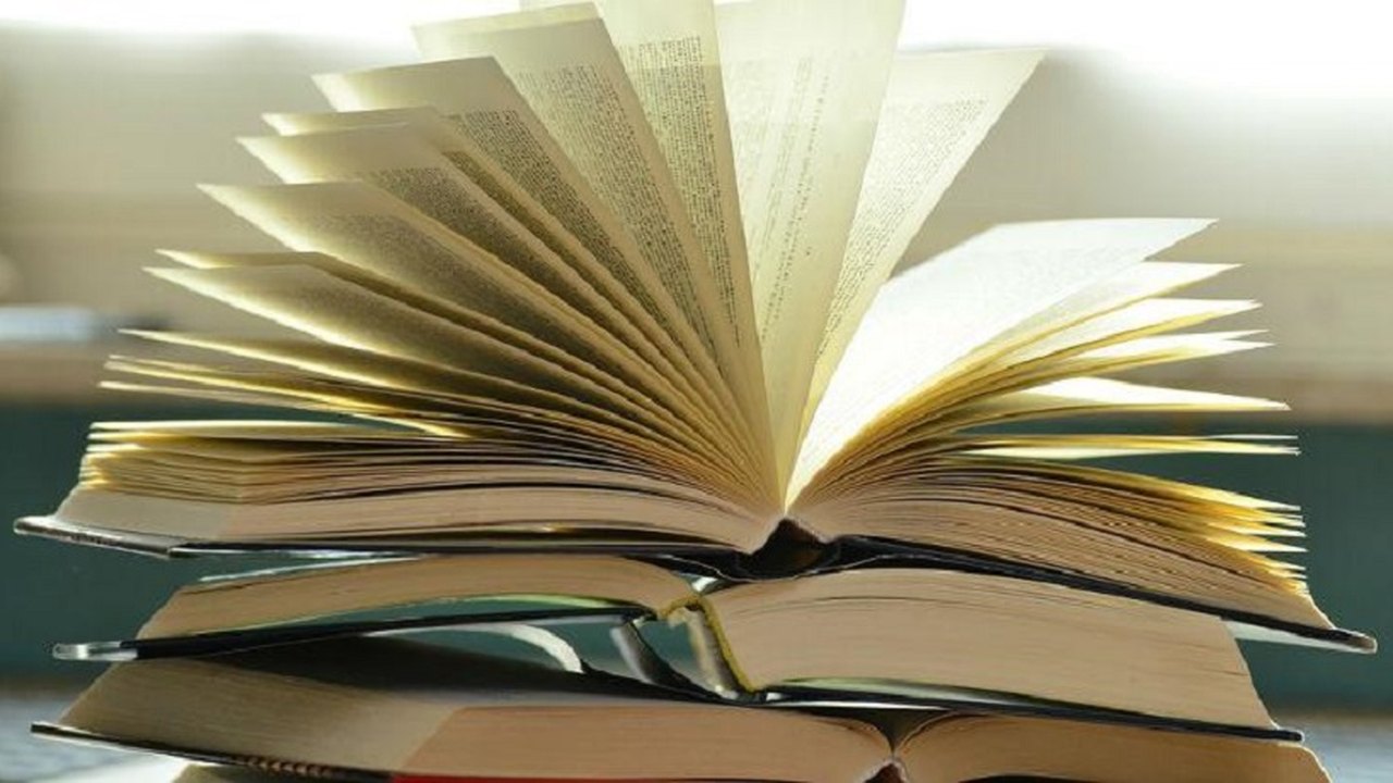 Site Quilombada faz delivery de livros de autores alagoanos  em Maceió