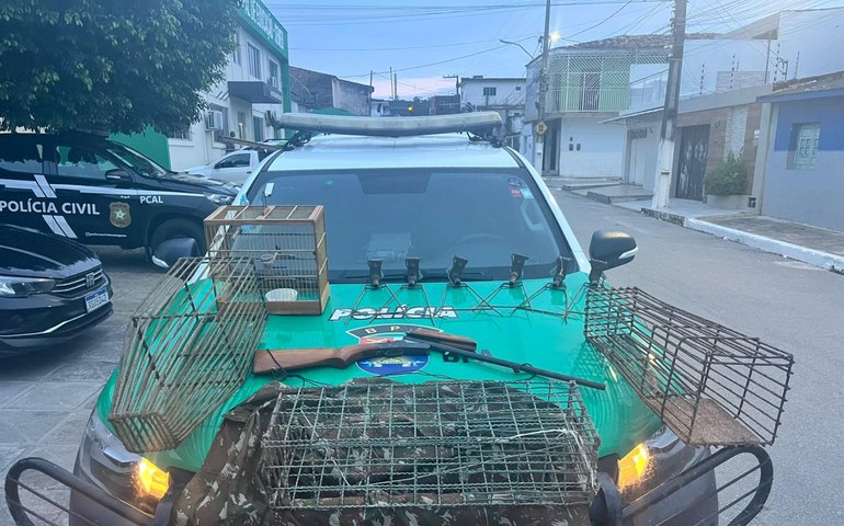 Polícia Militar apreende arma de fogo e resgata mais de 100 animais silvestres em Alagoas