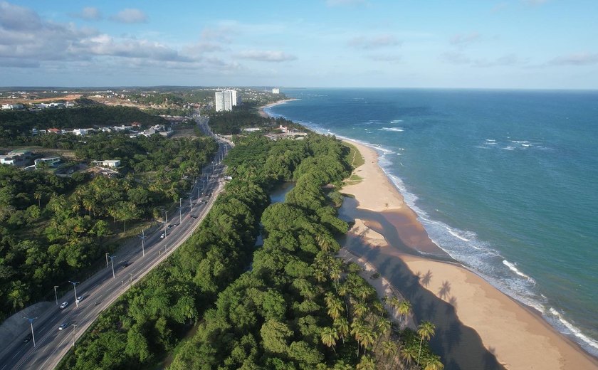 Projeto de monitoramento de manguezais contribui para a conservação de mais de 360 ha de Mata Atlântica em Alagoas