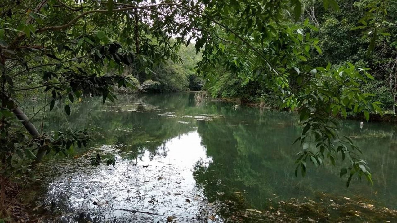 Proprietários de RPPN e agricultores familiares têm 20 dias para se inscrever no Programa de Pagamento por Serviços Ambientais