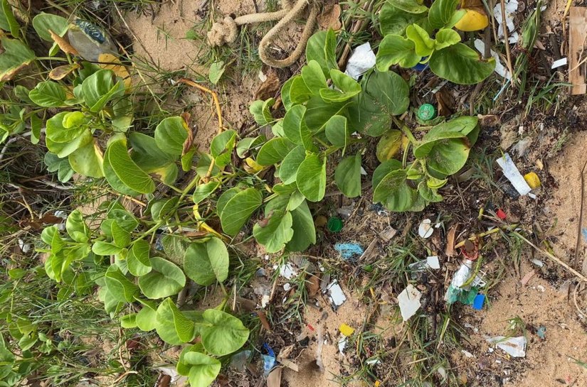 Microplásticos: uma ameaça invisível à saúde e ao meio ambiente