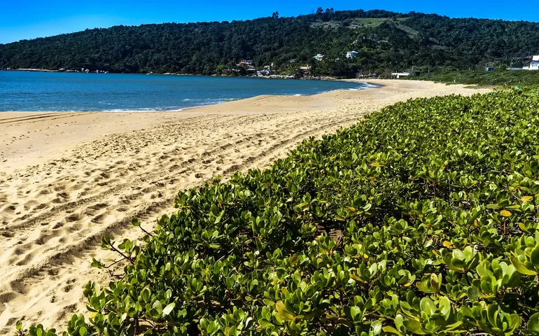 Dois adolescentes desaparecem após entrarem no mar em praia do Guarujá
