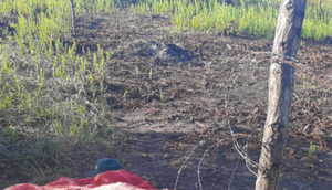 Homem é encontrado morto enquanto trabalhava em Santo Amaro das Brotas / Foto: Foto: Polícia Militar/SE