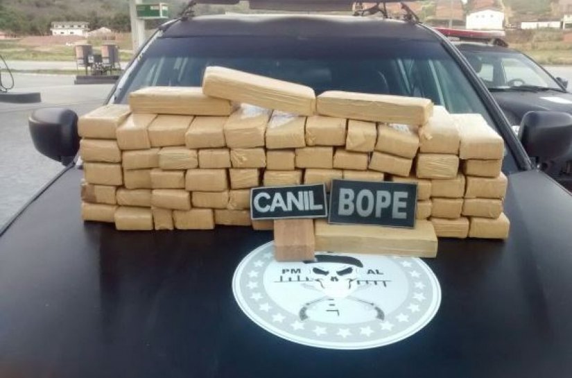 Bope e Serviço de Inteligência apreendem cerca de 50Kg de maconha em Novo Lino