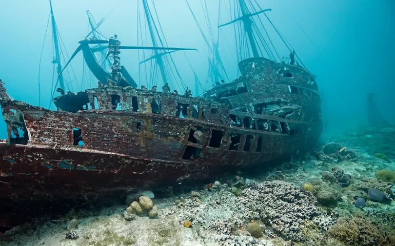Mergulhadores encontram mais de 100 garrafas de champanhe em naufrágio do século XIX