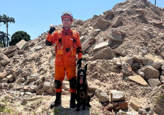 Cadela do Corpo de Bombeiros de Alagoas conquista certificações nacionais em busca e resgate