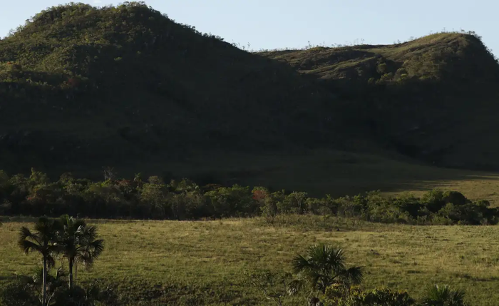 Territórios quilombolas são as áreas menos desmatadas do país