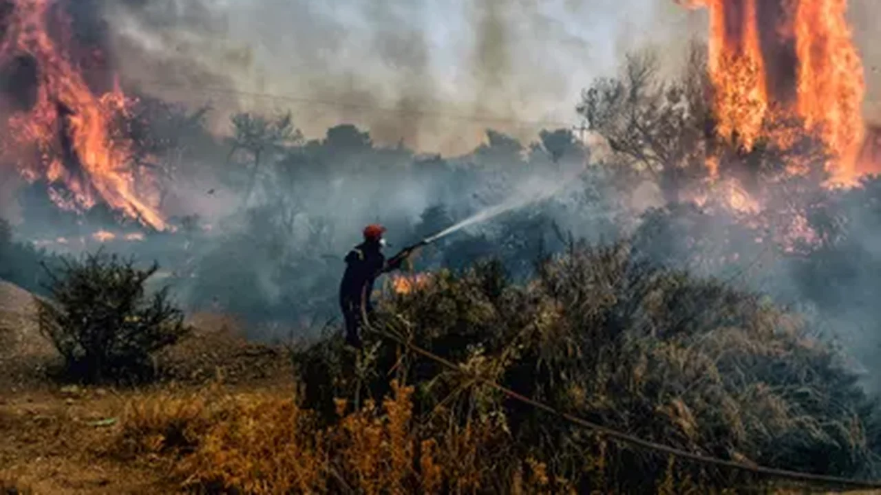 Europa sofre com incêndios florestais e Oriente Médio registra índice de calor que pode matar