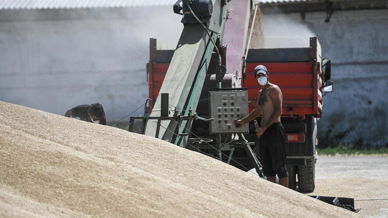 Brasil foi principal comprador de fertilizantes da Rússia em 2024