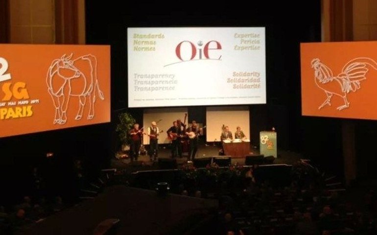 Assembleia mundial para certificação de zona livre da aftosa tem início em Paris