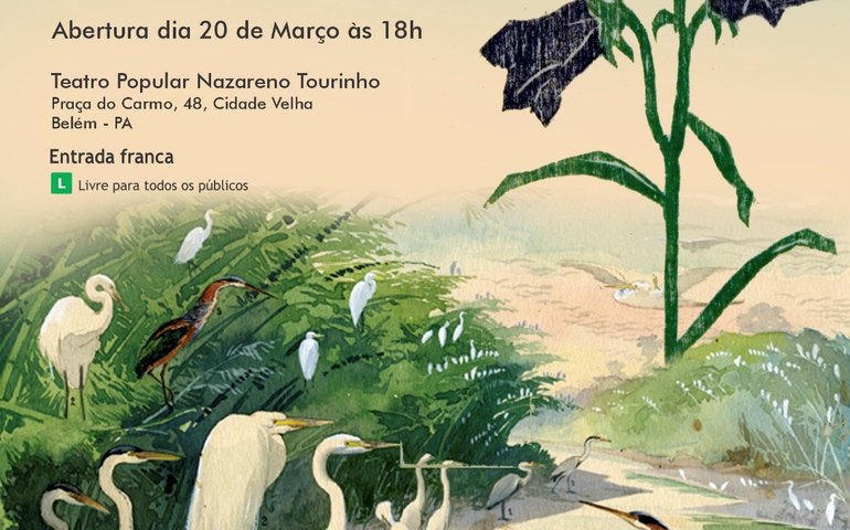 Goeldi: exposição Fauna e Flora Brasileira retorna a Belém-PA a partir de 20/03